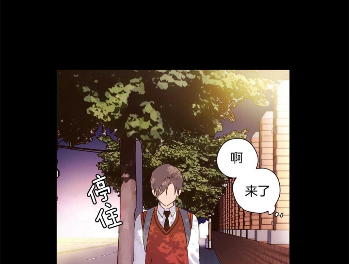 《4周爱人》漫画最新章节第91话免费下拉式在线观看章节第【5】张图片