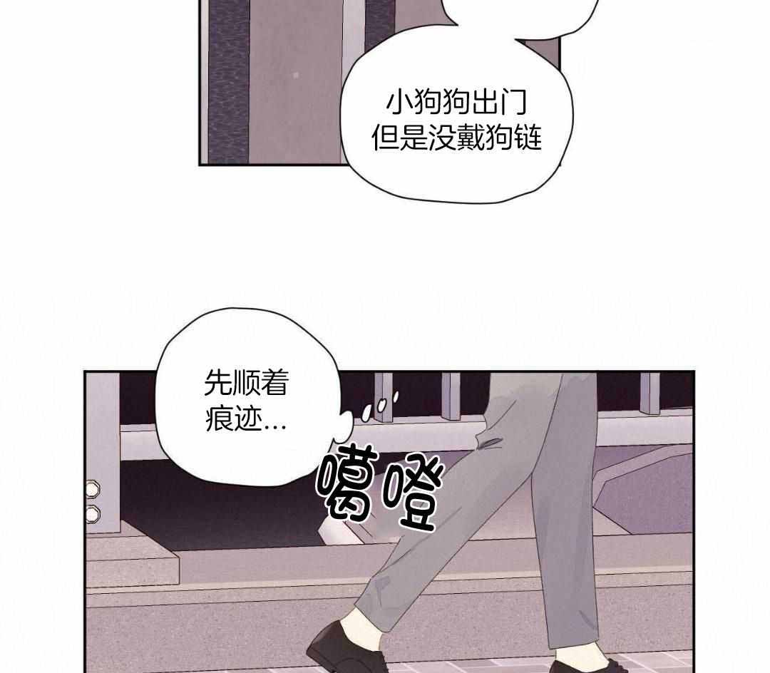 《4周爱人》漫画最新章节第146话免费下拉式在线观看章节第【51】张图片