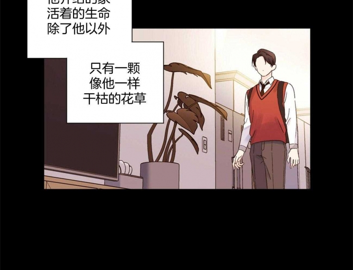 《4周爱人》漫画最新章节第91话免费下拉式在线观看章节第【48】张图片