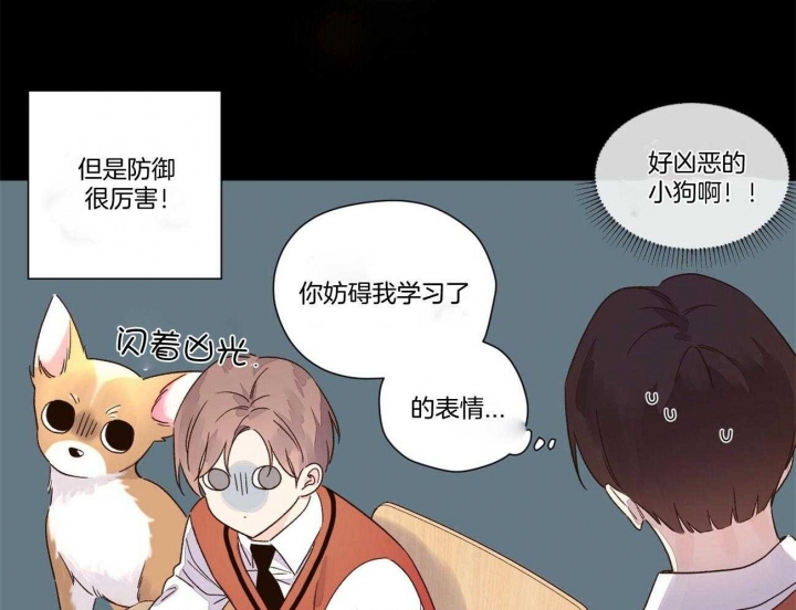 《4周爱人》漫画最新章节第89话免费下拉式在线观看章节第【39】张图片