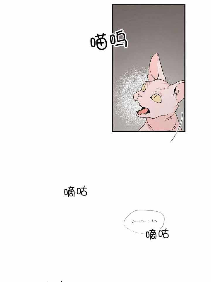 《老板的小宝贝》漫画最新章节第70话免费下拉式在线观看章节第【12】张图片