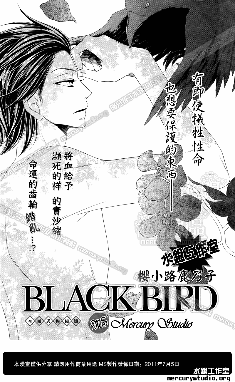 《黑鸟恋人(BLACK BIRD)》漫画最新章节第51话免费下拉式在线观看章节第【1】张图片