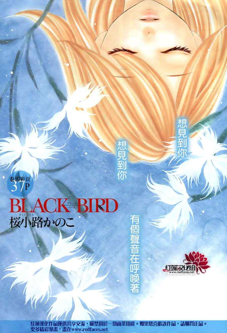 《黑鸟恋人(BLACK BIRD)》漫画最新章节第68话免费下拉式在线观看章节第【2】张图片