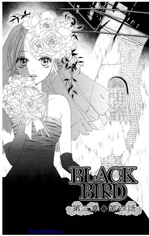 《黑鸟恋人(BLACK BIRD)》漫画最新章节第10卷免费下拉式在线观看章节第【6】张图片