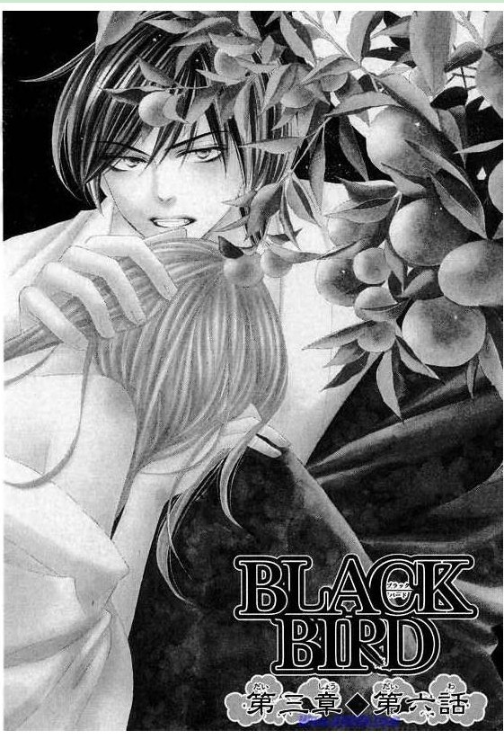 《黑鸟恋人(BLACK BIRD)》漫画最新章节第10卷免费下拉式在线观看章节第【94】张图片