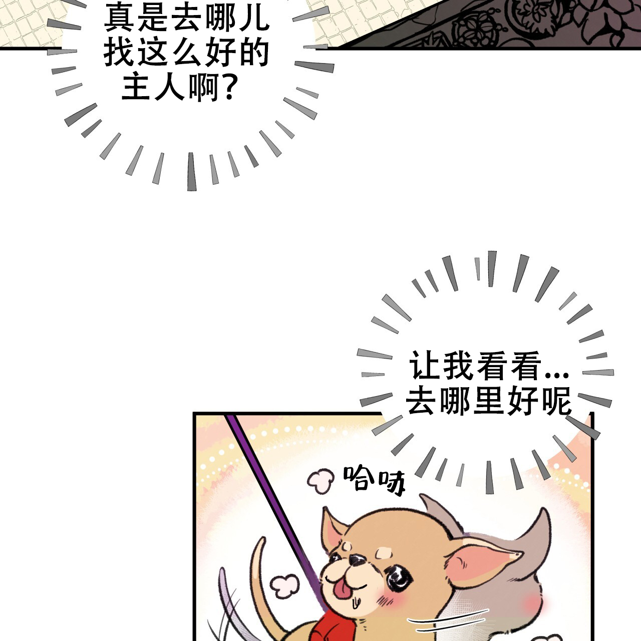 《哈尼熊》漫画最新章节第1话免费下拉式在线观看章节第【39】张图片