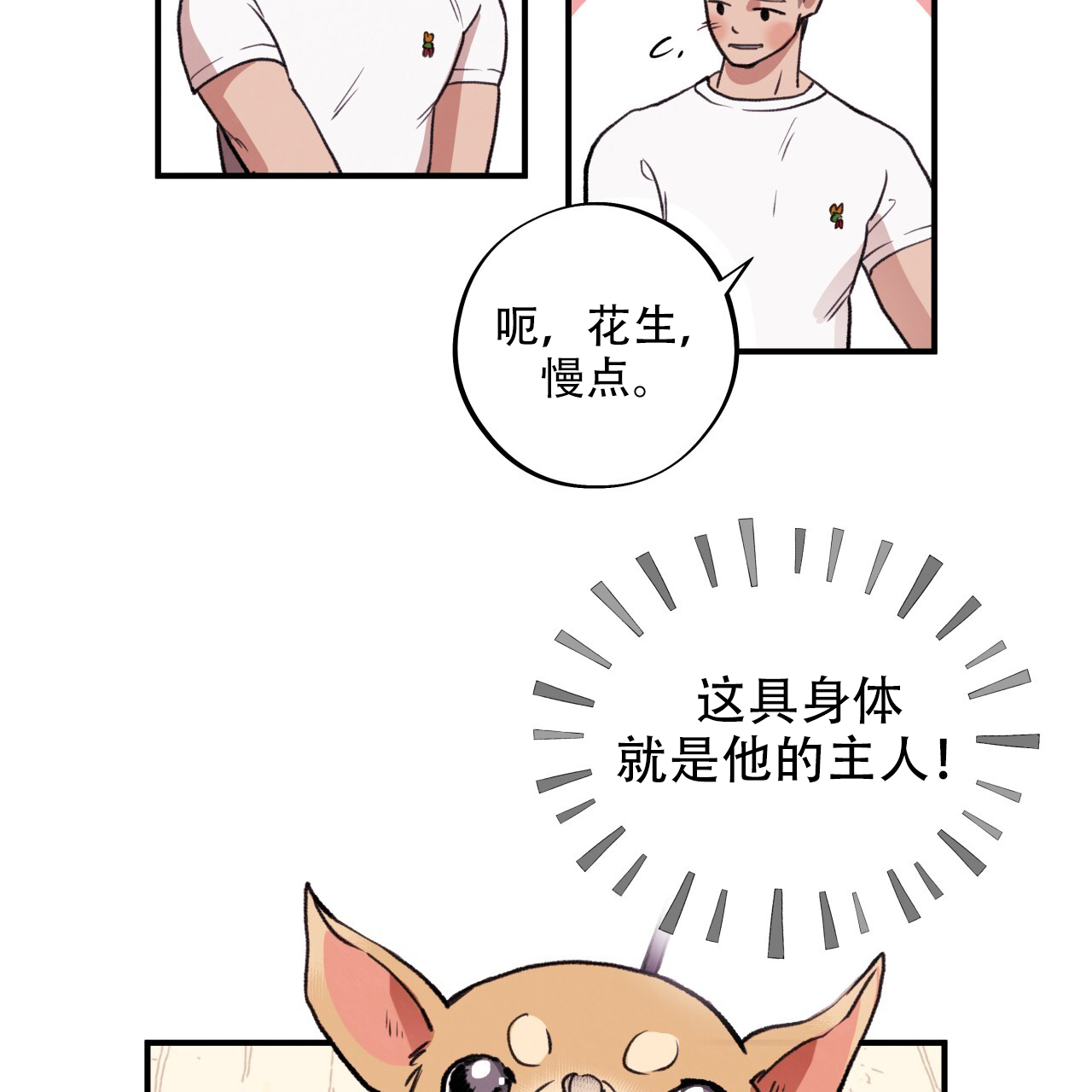 《哈尼熊》漫画最新章节第1话免费下拉式在线观看章节第【11】张图片