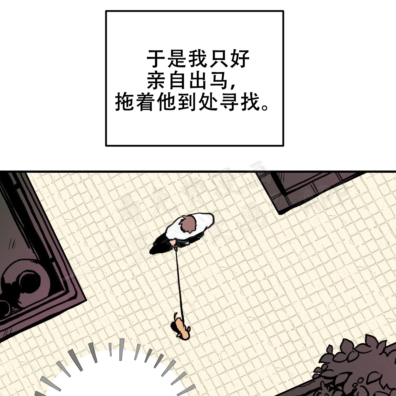 《哈尼熊》漫画最新章节第1话免费下拉式在线观看章节第【37】张图片