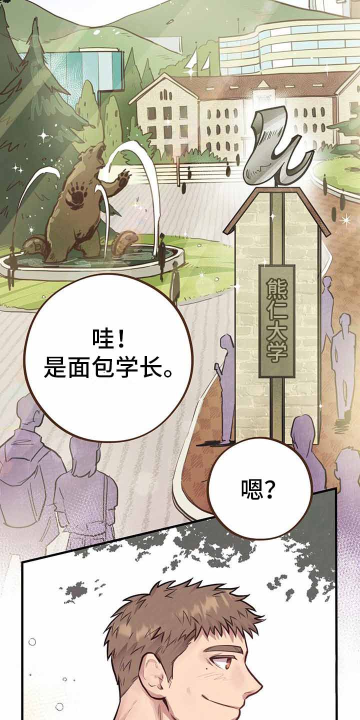 《哈尼熊》漫画最新章节第15话免费下拉式在线观看章节第【3】张图片