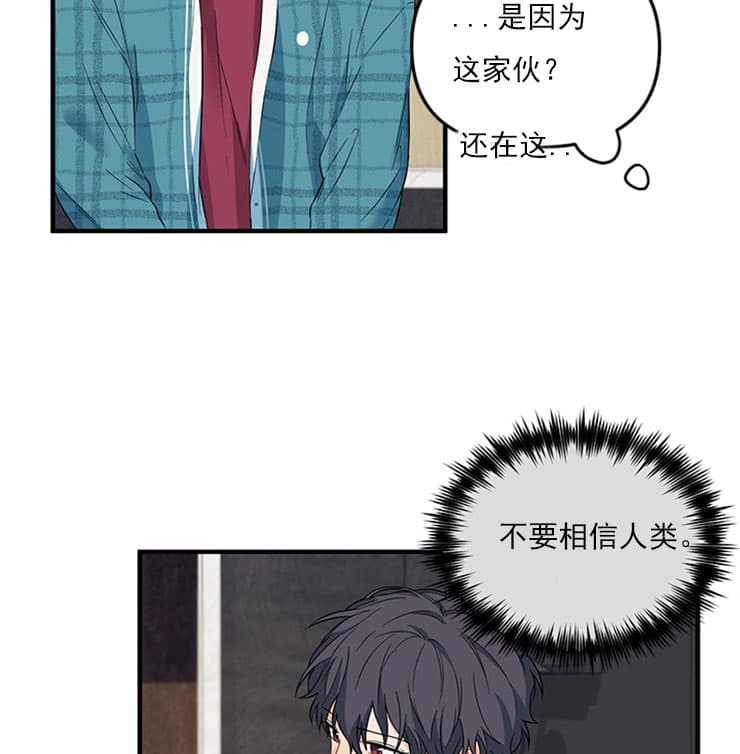 《血与爱》漫画最新章节第34话免费下拉式在线观看章节第【18】张图片