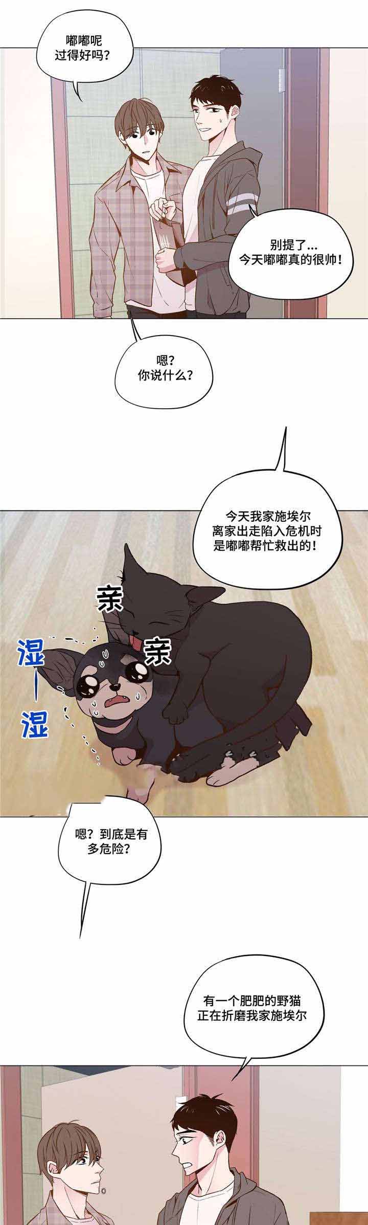 《最终挑选》漫画最新章节第31话免费下拉式在线观看章节第【9】张图片