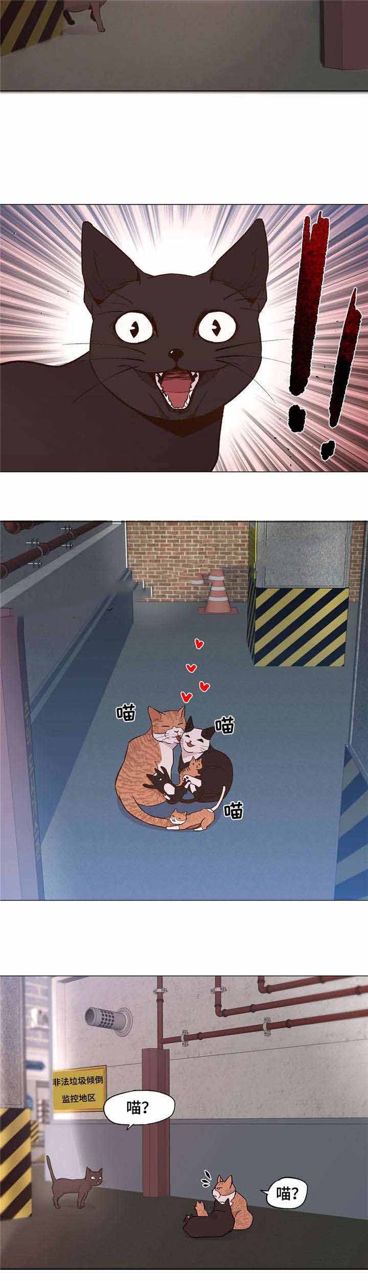 《最终挑选》漫画最新章节第30话免费下拉式在线观看章节第【15】张图片