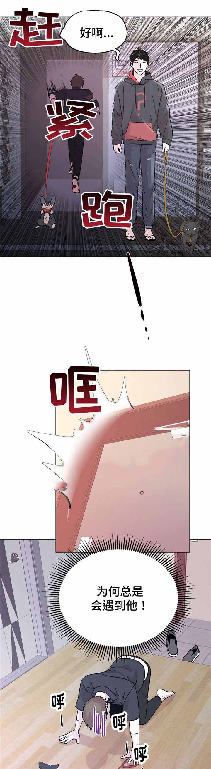 《最终挑选》漫画最新章节第56话免费下拉式在线观看章节第【21】张图片