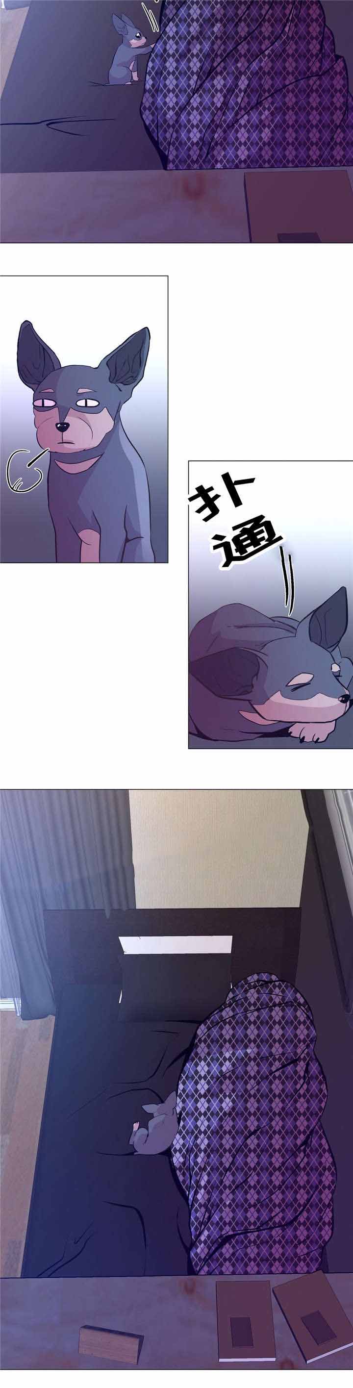 《最终挑选》漫画最新章节第51话免费下拉式在线观看章节第【13】张图片