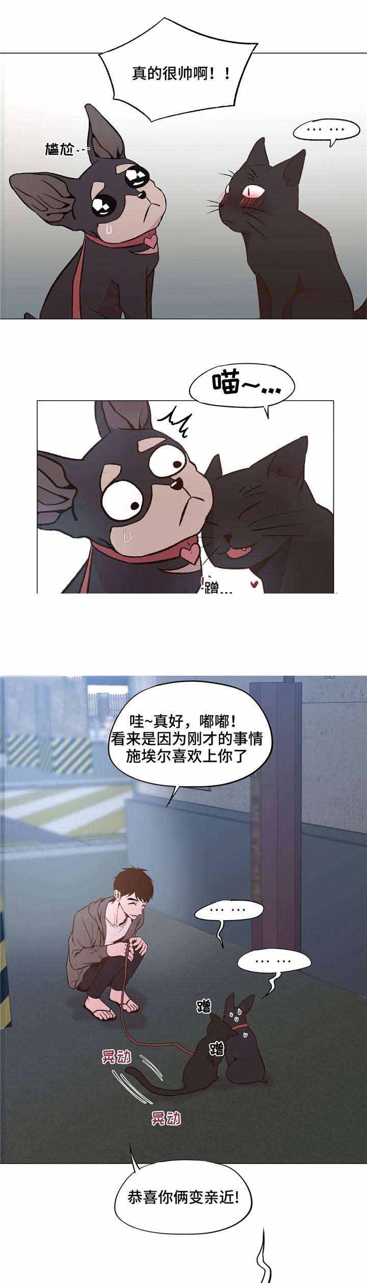 《最终挑选》漫画最新章节第31话免费下拉式在线观看章节第【5】张图片
