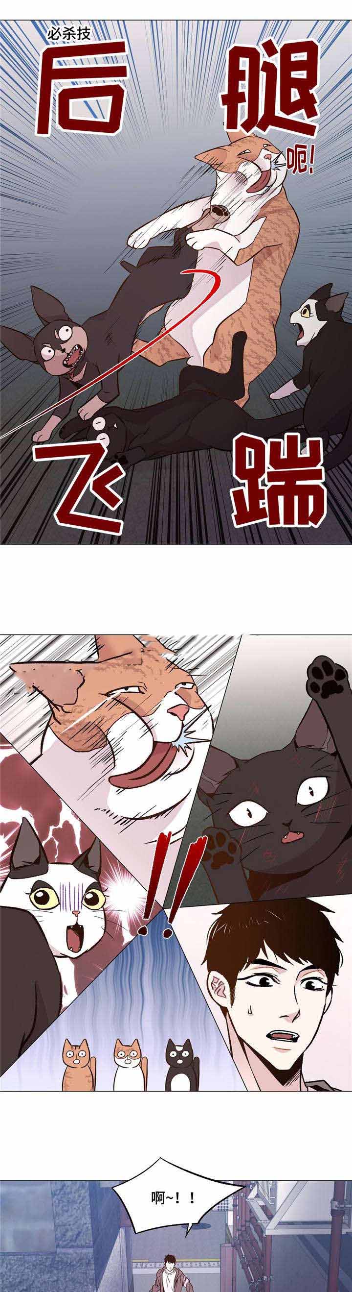 《最终挑选》漫画最新章节第31话免费下拉式在线观看章节第【1】张图片