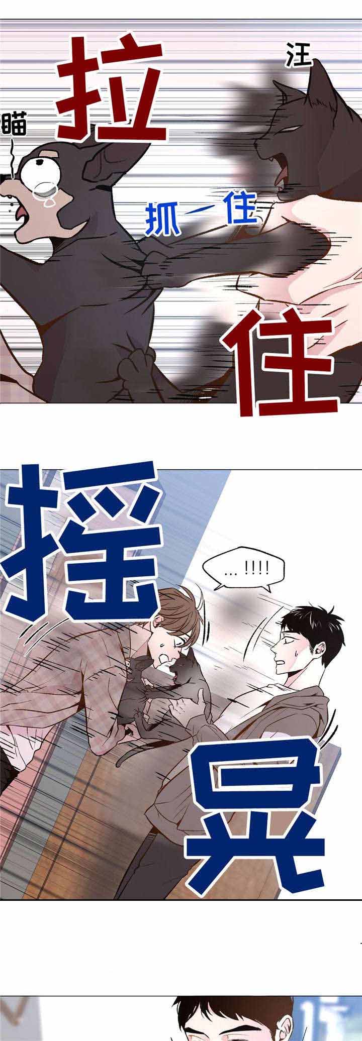 《最终挑选》漫画最新章节第31话免费下拉式在线观看章节第【17】张图片