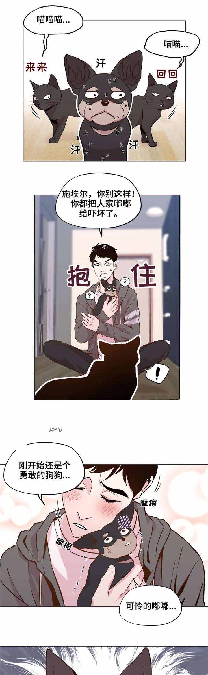 《最终挑选》漫画最新章节第30话免费下拉式在线观看章节第【3】张图片