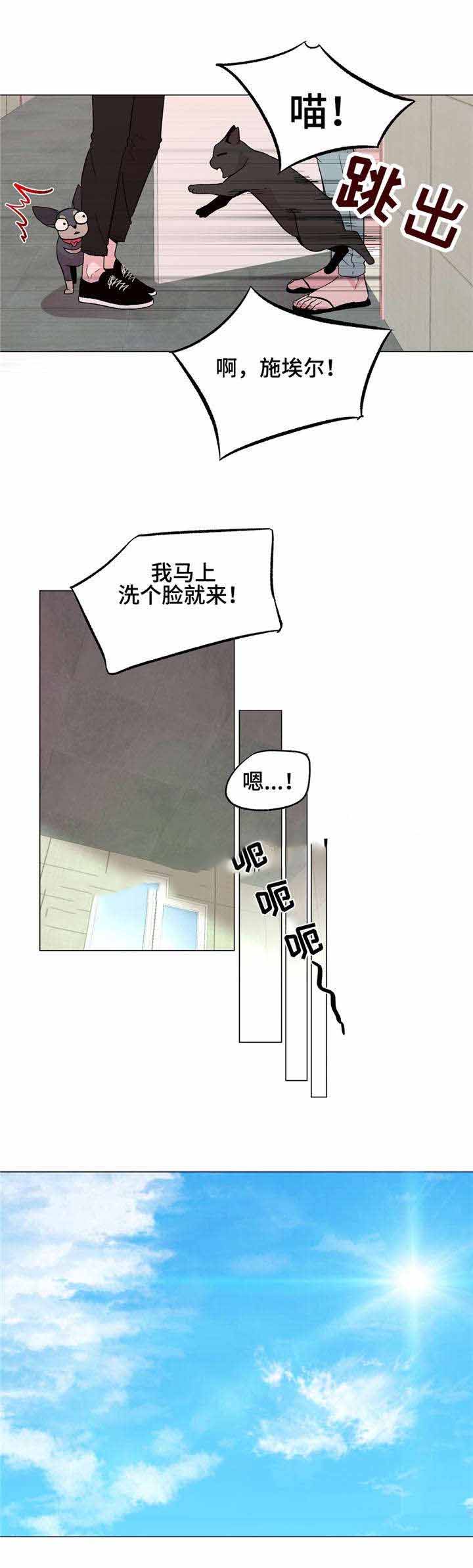 《最终挑选》漫画最新章节第36话免费下拉式在线观看章节第【19】张图片