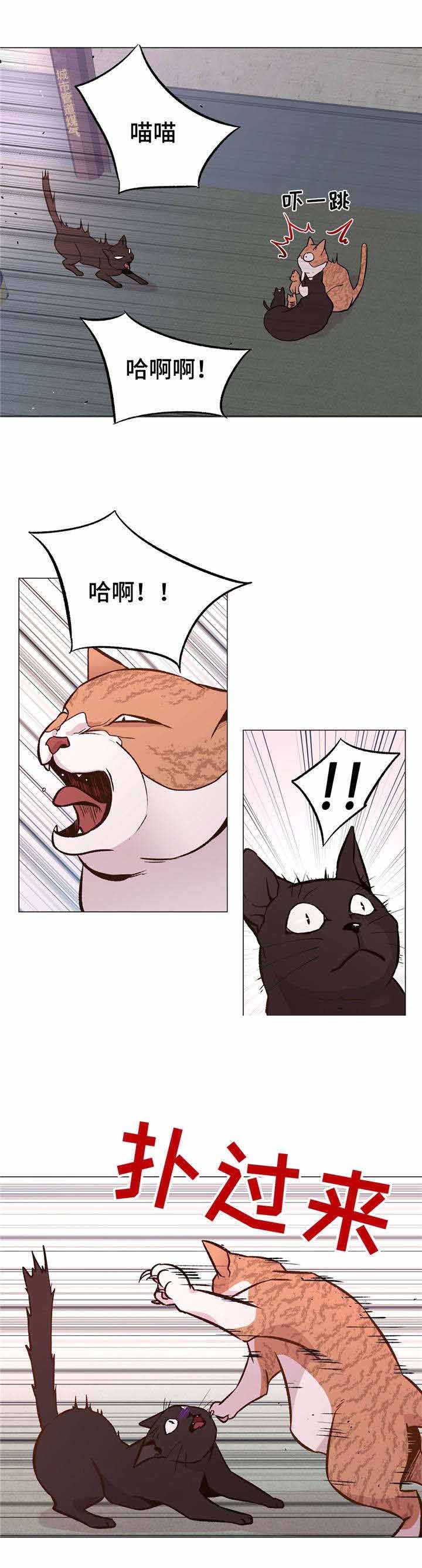 《最终挑选》漫画最新章节第30话免费下拉式在线观看章节第【19】张图片