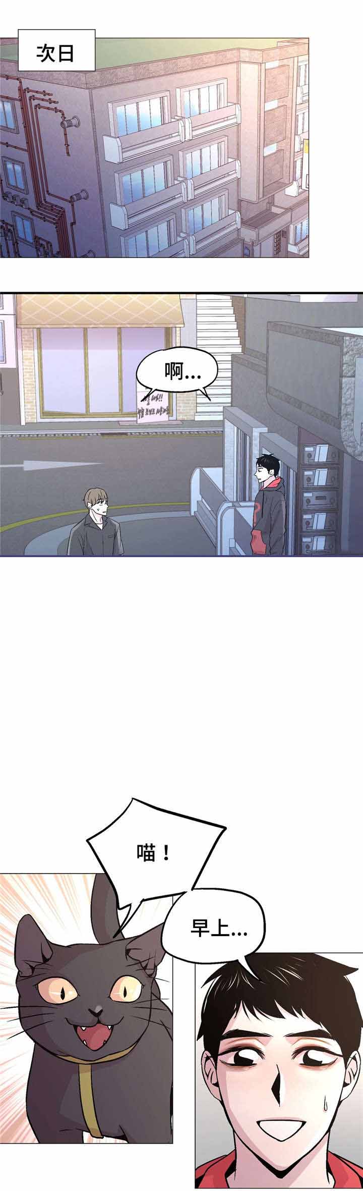 《最终挑选》漫画最新章节第56话免费下拉式在线观看章节第【19】张图片