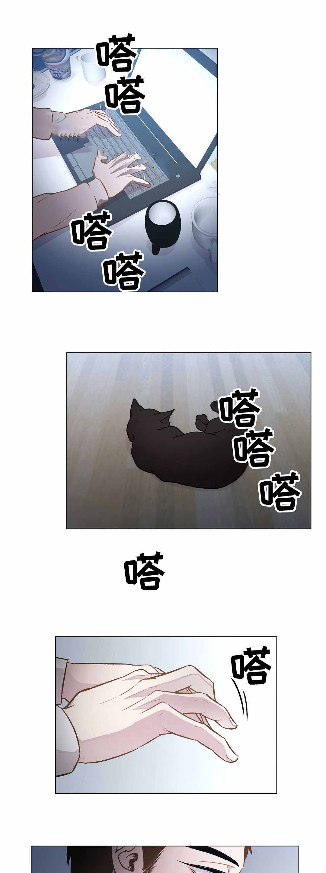 《最终挑选》漫画最新章节第25话免费下拉式在线观看章节第【13】张图片
