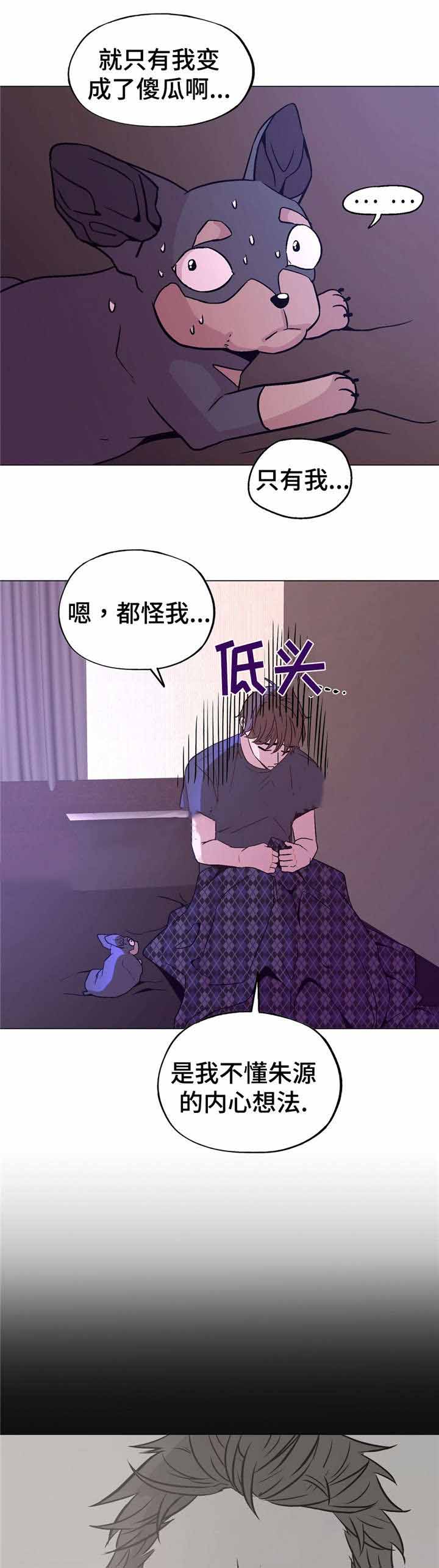 《最终挑选》漫画最新章节第51话免费下拉式在线观看章节第【19】张图片