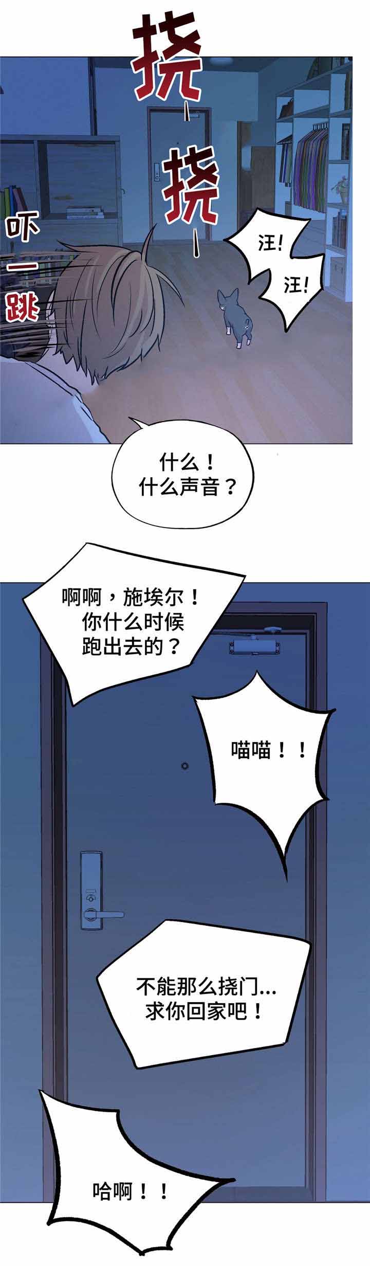 《最终挑选》漫画最新章节第56话免费下拉式在线观看章节第【25】张图片