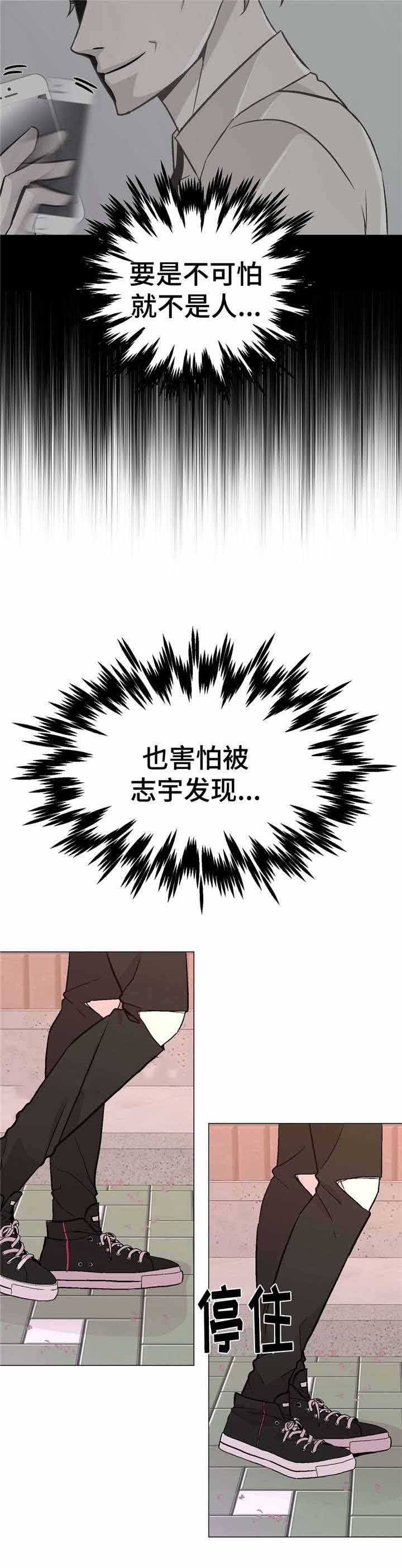 《最终挑选》漫画最新章节第49话免费下拉式在线观看章节第【19】张图片