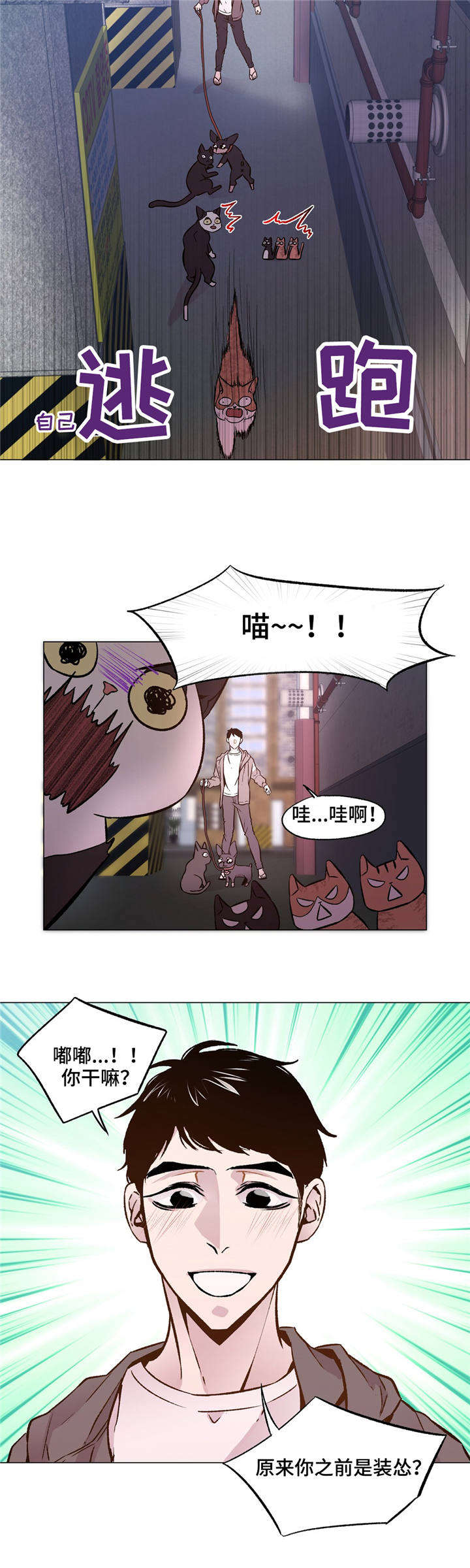 《最终挑选》漫画最新章节第31话免费下拉式在线观看章节第【3】张图片