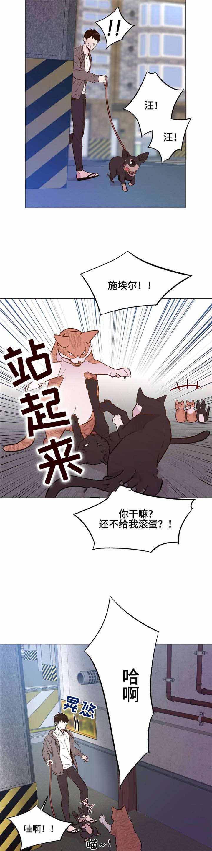 《最终挑选》漫画最新章节第30话免费下拉式在线观看章节第【23】张图片