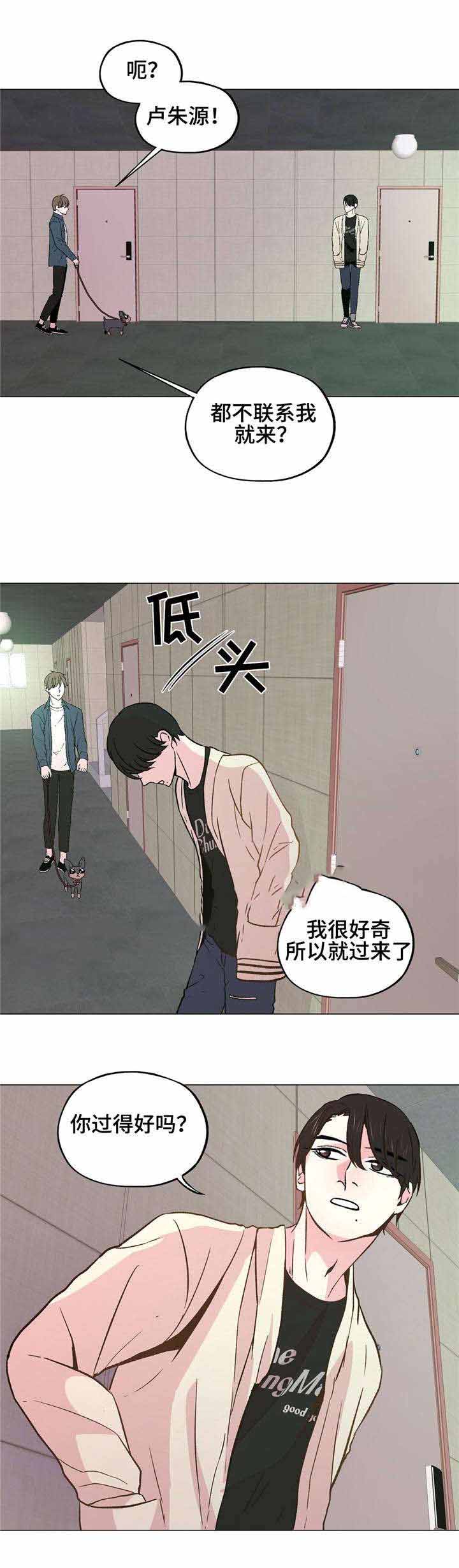 《最终挑选》漫画最新章节第37话免费下拉式在线观看章节第【5】张图片