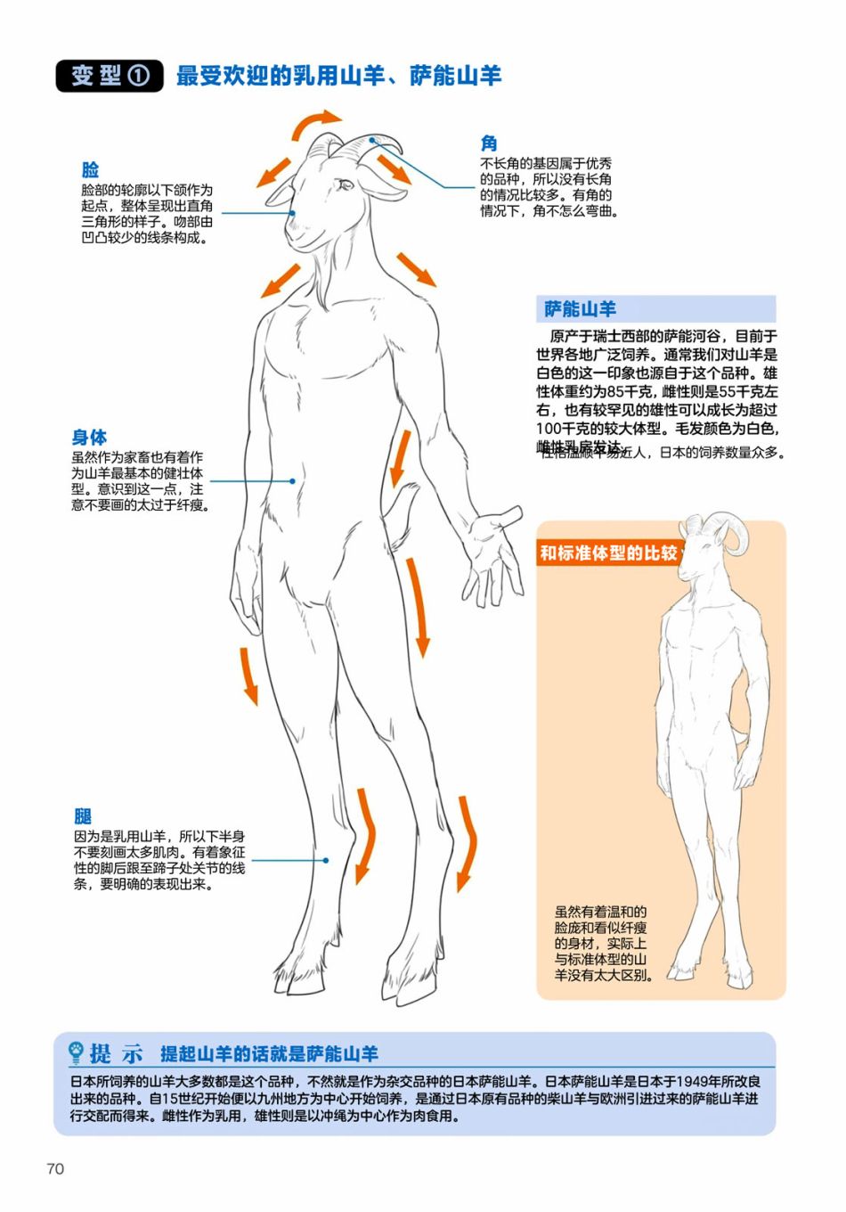 《兽人的描绘方法 -从真实系兽人到抽象系兽人》漫画最新章节第2.3话 陆上生物 有蹄类兽人的描绘方法免费下拉式在线观看章节第【13】张图片