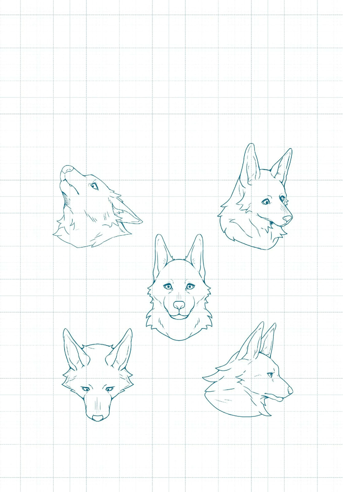 《兽人的描绘方法 -从真实系兽人到抽象系兽人》漫画最新章节第4话 海洋生物免费下拉式在线观看章节第【31】张图片