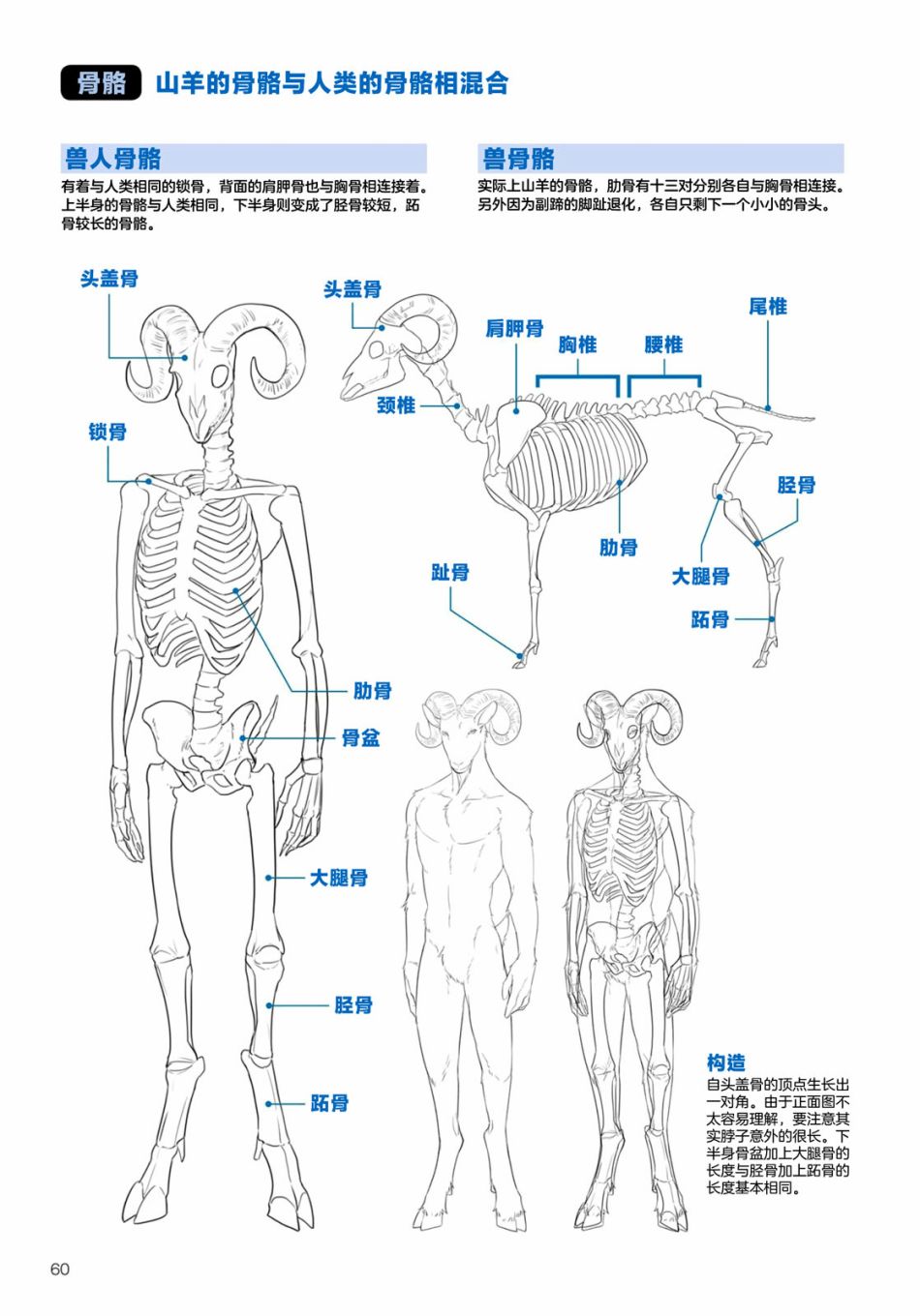 《兽人的描绘方法 -从真实系兽人到抽象系兽人》漫画最新章节第2.3话 陆上生物 有蹄类兽人的描绘方法免费下拉式在线观看章节第【3】张图片