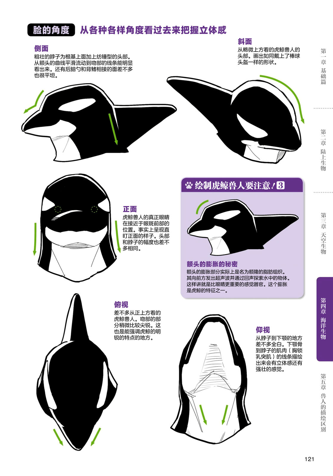 《兽人的描绘方法 -从真实系兽人到抽象系兽人》漫画最新章节第4话 海洋生物免费下拉式在线观看章节第【7】张图片