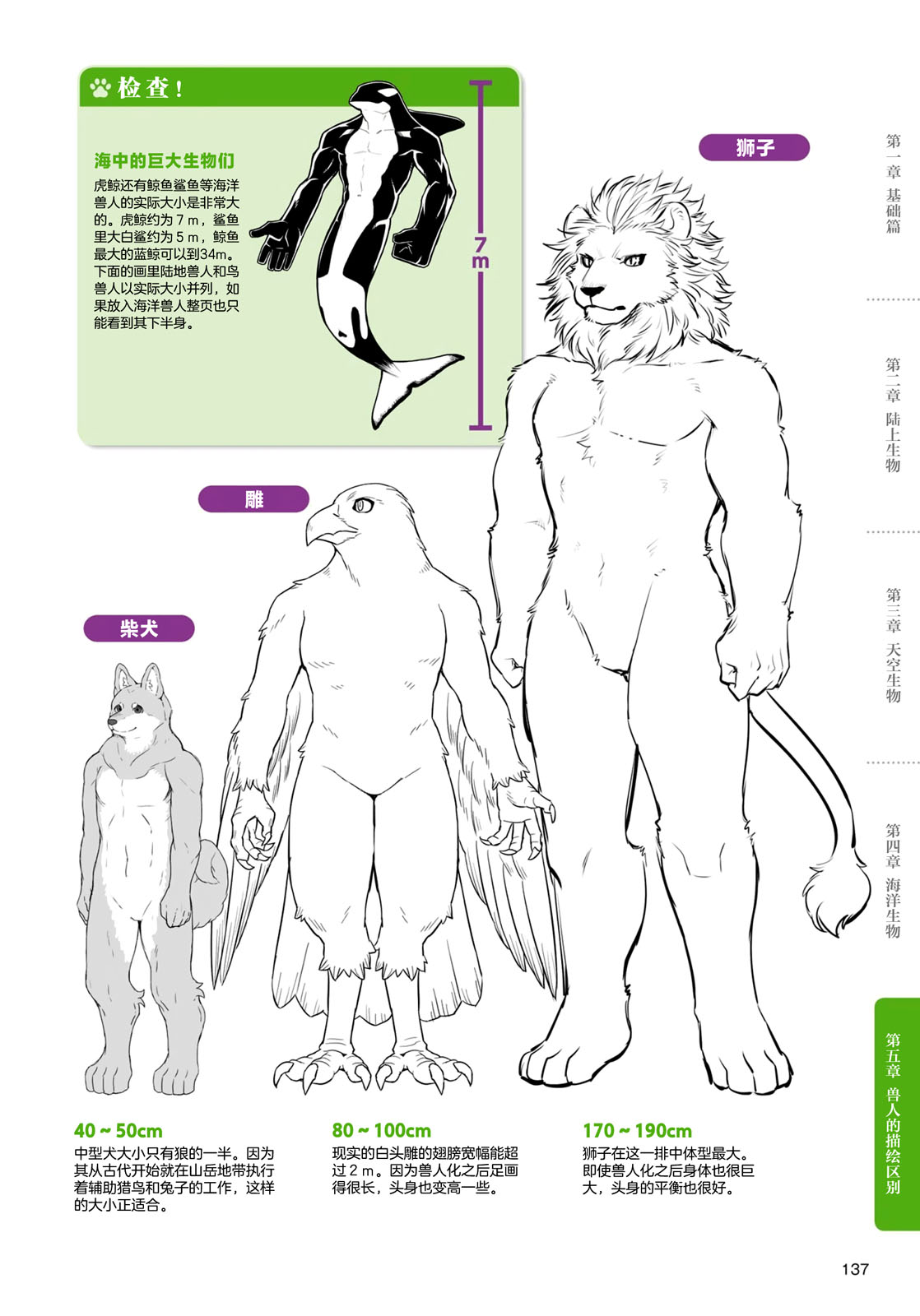 《兽人的描绘方法 -从真实系兽人到抽象系兽人》漫画最新章节第4话 海洋生物免费下拉式在线观看章节第【23】张图片