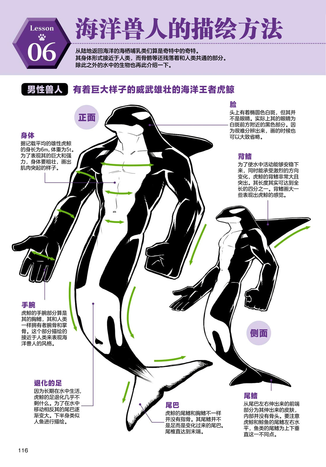 《兽人的描绘方法 -从真实系兽人到抽象系兽人》漫画最新章节第4话 海洋生物免费下拉式在线观看章节第【2】张图片