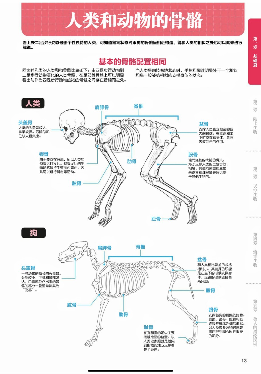 《兽人的描绘方法 -从真实系兽人到抽象系兽人》漫画最新章节第1话 基础篇免费下拉式在线观看章节第【9】张图片