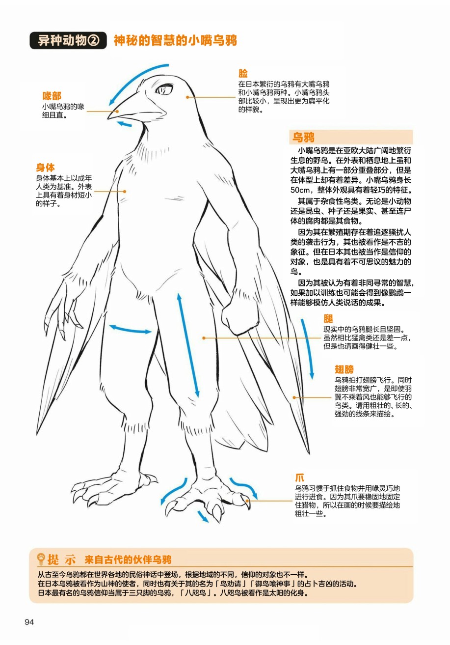 《兽人的描绘方法 -从真实系兽人到抽象系兽人》漫画最新章节第3.1话 天空生物 鸟兽人的画法免费下拉式在线观看章节第【18】张图片