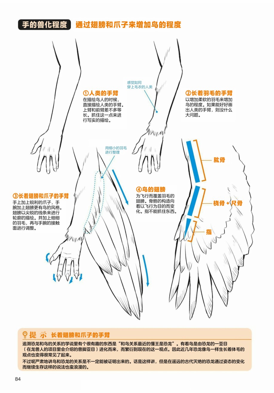 《兽人的描绘方法 -从真实系兽人到抽象系兽人》漫画最新章节第3.1话 天空生物 鸟兽人的画法免费下拉式在线观看章节第【8】张图片