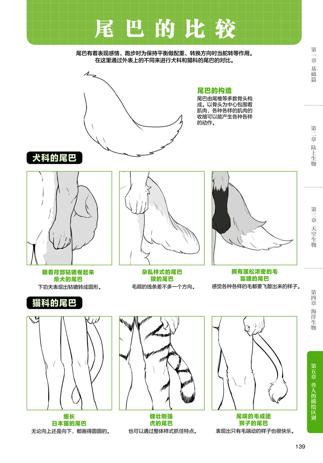 《兽人的描绘方法 -从真实系兽人到抽象系兽人》漫画最新章节第4话 海洋生物免费下拉式在线观看章节第【25】张图片