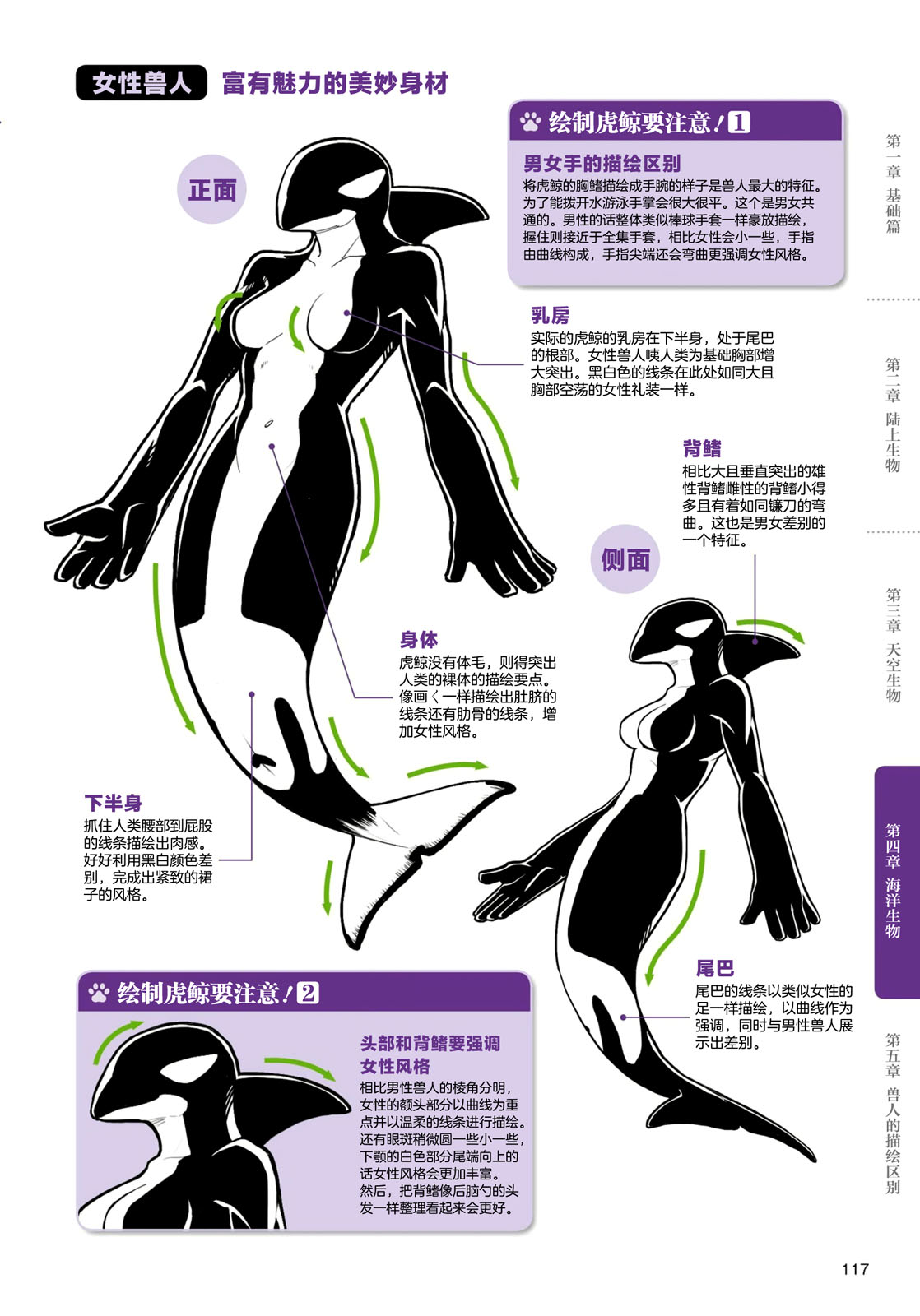 《兽人的描绘方法 -从真实系兽人到抽象系兽人》漫画最新章节第4话 海洋生物免费下拉式在线观看章节第【3】张图片