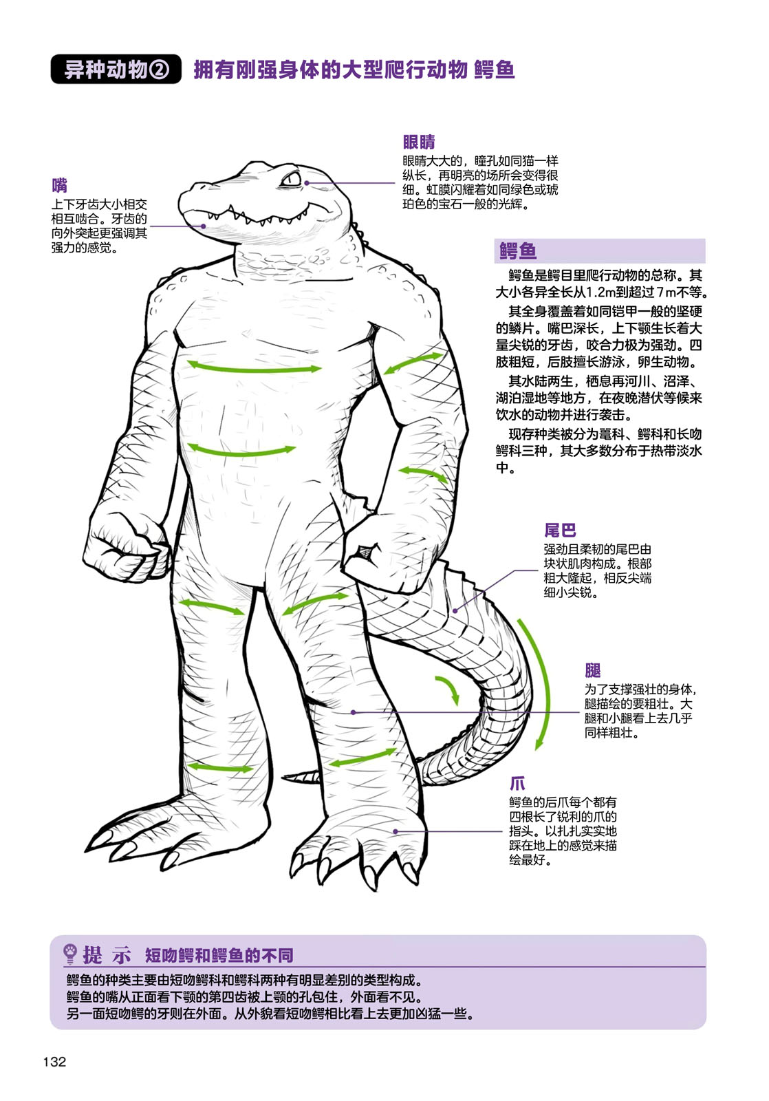 《兽人的描绘方法 -从真实系兽人到抽象系兽人》漫画最新章节第4话 海洋生物免费下拉式在线观看章节第【18】张图片