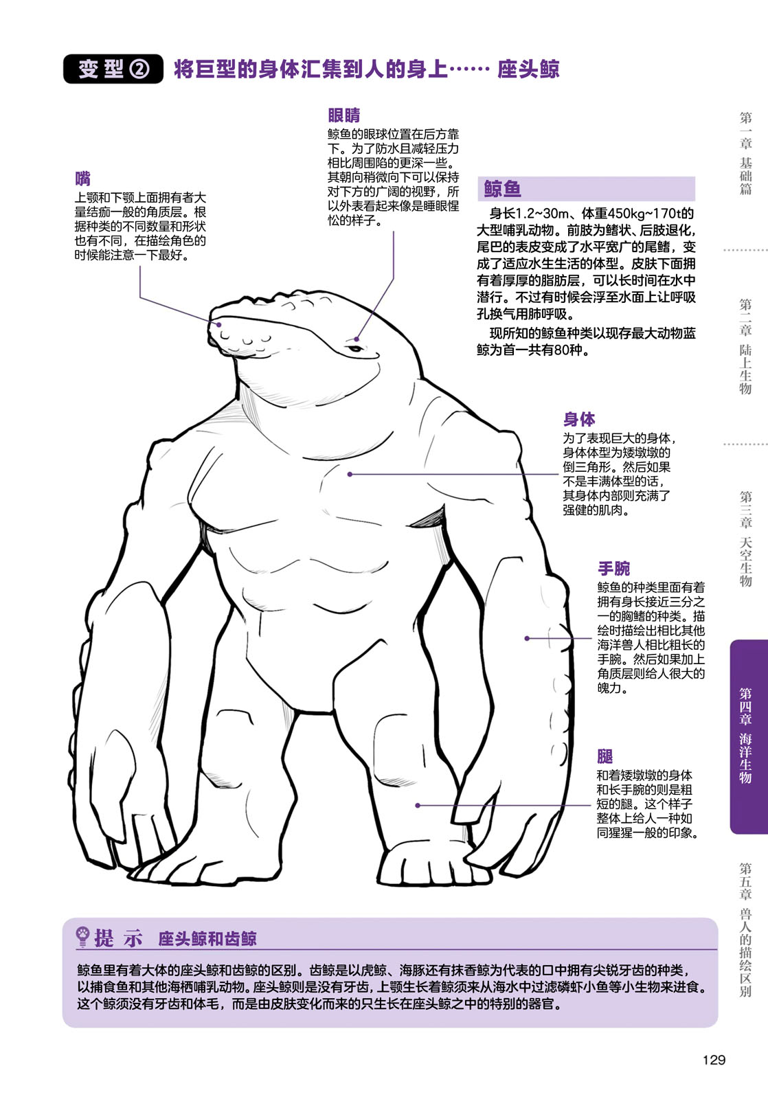 《兽人的描绘方法 -从真实系兽人到抽象系兽人》漫画最新章节第4话 海洋生物免费下拉式在线观看章节第【15】张图片