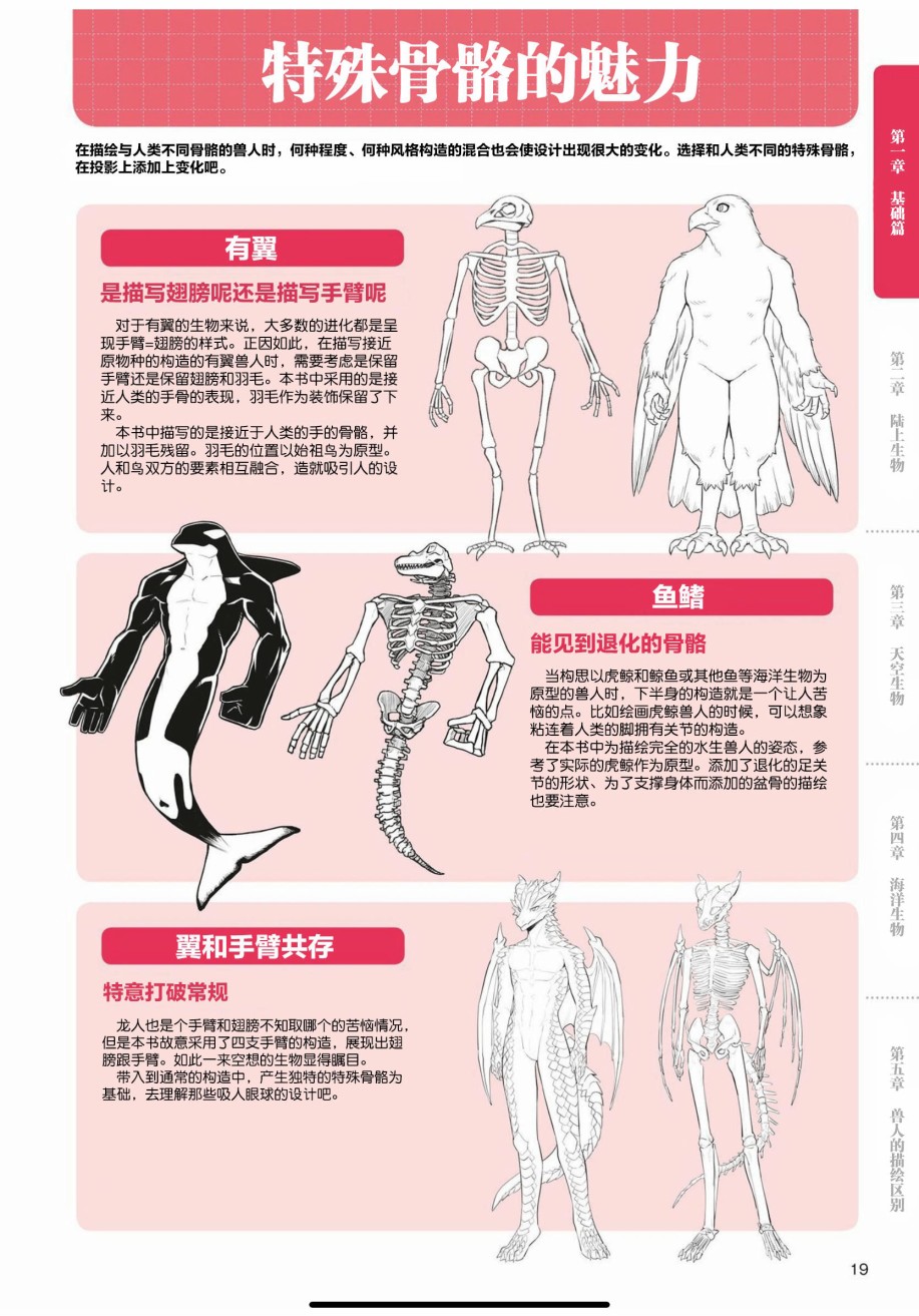 《兽人的描绘方法 -从真实系兽人到抽象系兽人》漫画最新章节第1话 基础篇免费下拉式在线观看章节第【15】张图片