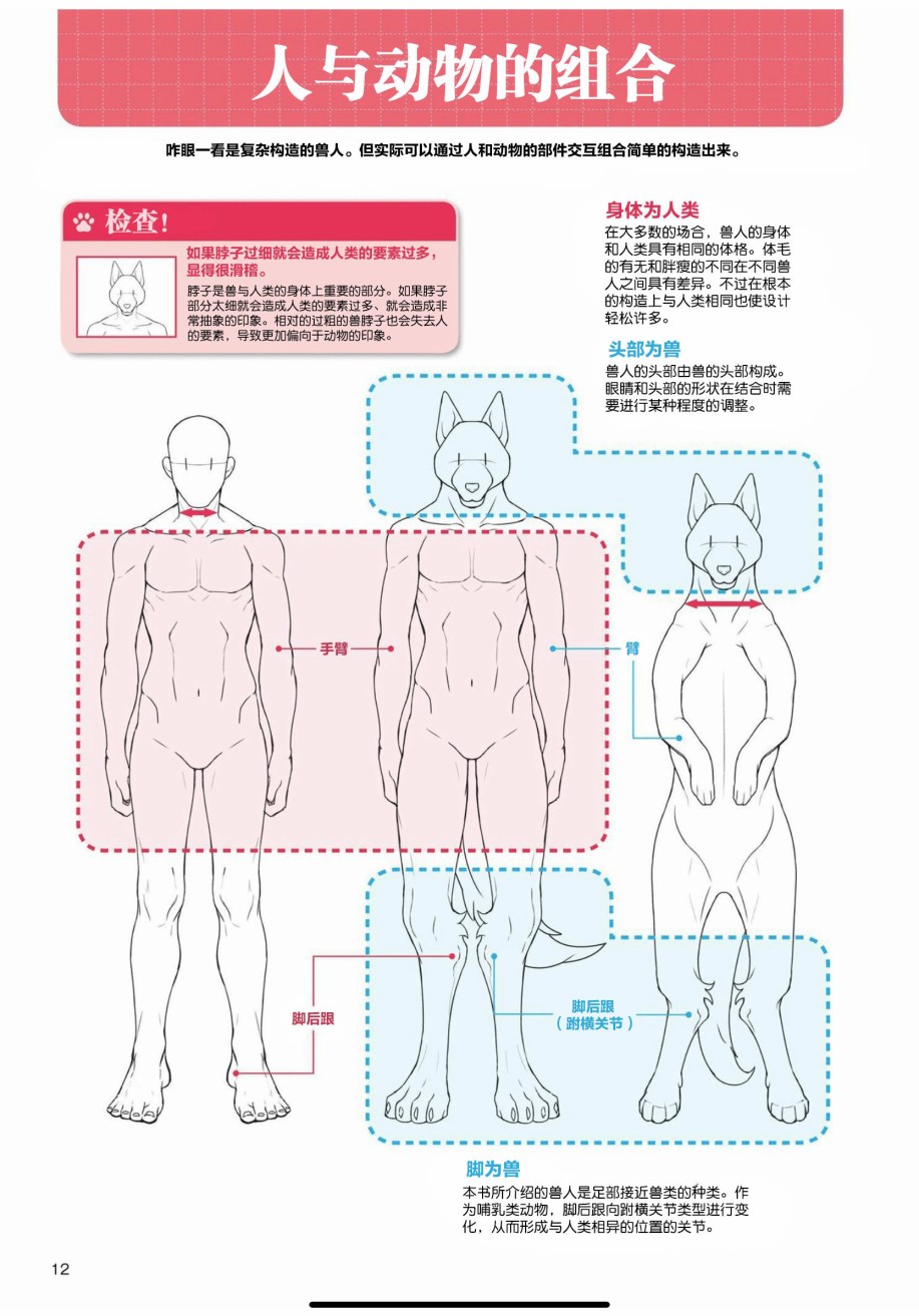 《兽人的描绘方法 -从真实系兽人到抽象系兽人》漫画最新章节第1话 基础篇免费下拉式在线观看章节第【8】张图片