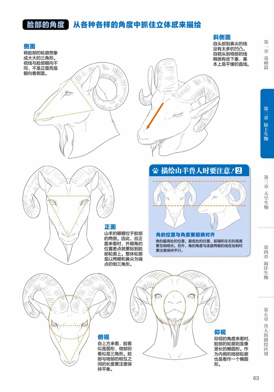 《兽人的描绘方法 -从真实系兽人到抽象系兽人》漫画最新章节第2.3话 陆上生物 有蹄类兽人的描绘方法免费下拉式在线观看章节第【6】张图片