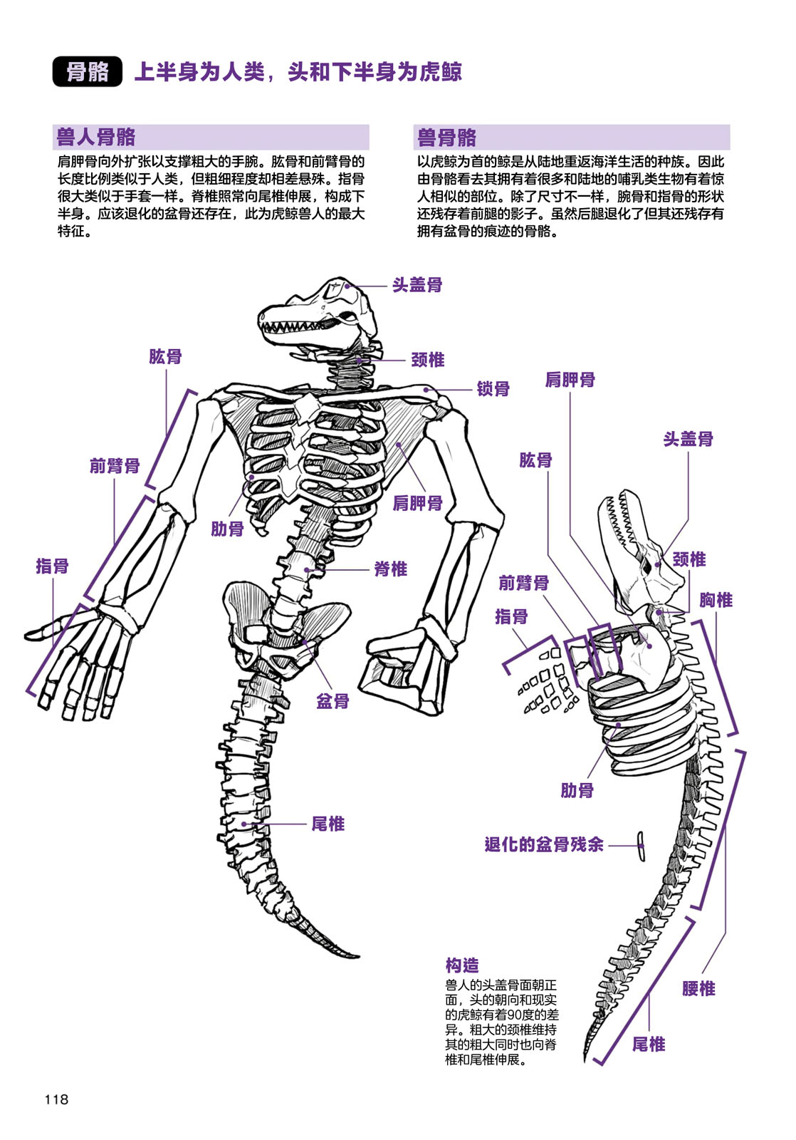 《兽人的描绘方法 -从真实系兽人到抽象系兽人》漫画最新章节第4话 海洋生物免费下拉式在线观看章节第【4】张图片