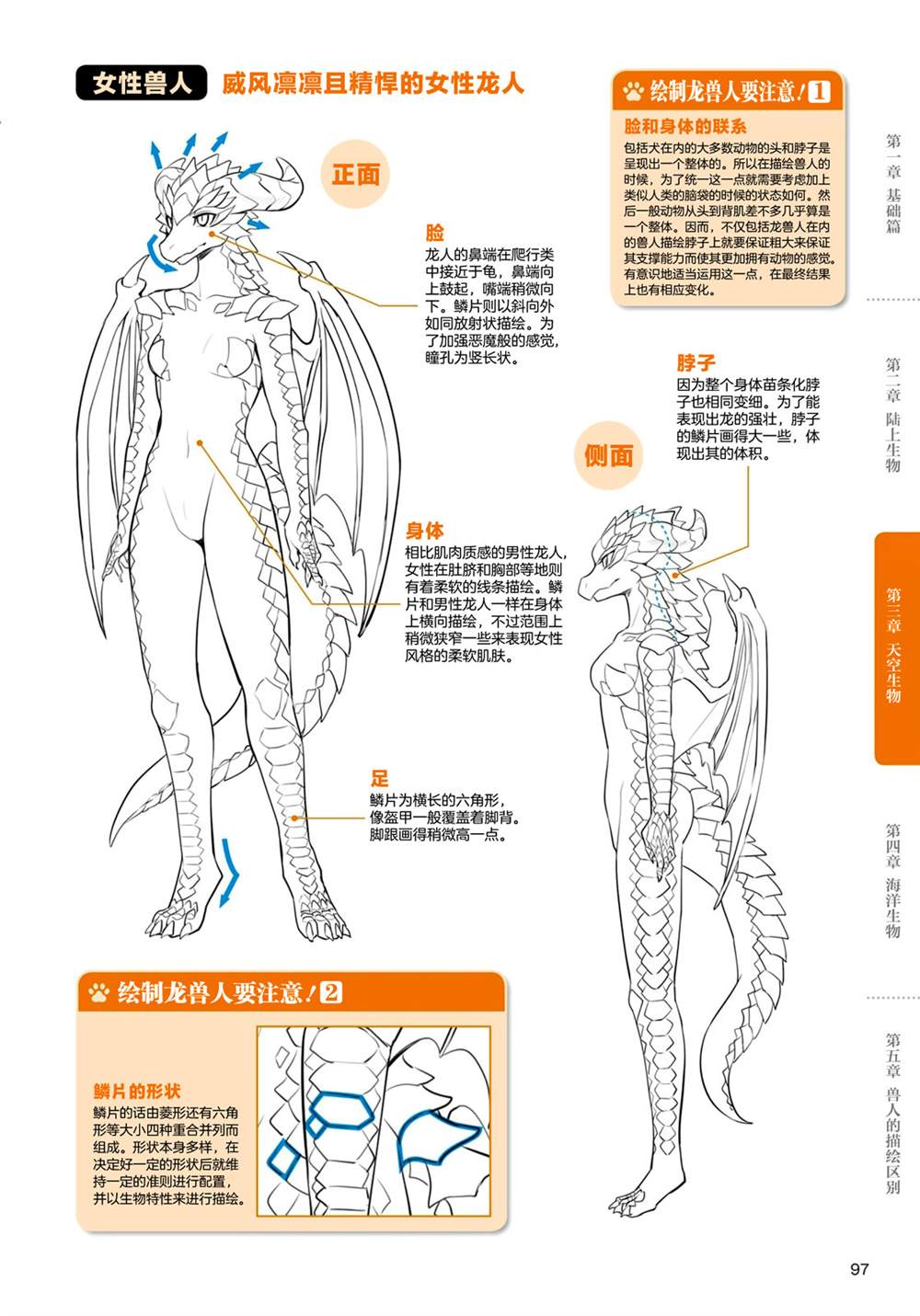 《兽人的描绘方法 -从真实系兽人到抽象系兽人》漫画最新章节第3.2话 天空生物 龙兽人的描绘方法免费下拉式在线观看章节第【2】张图片